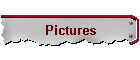Pictures